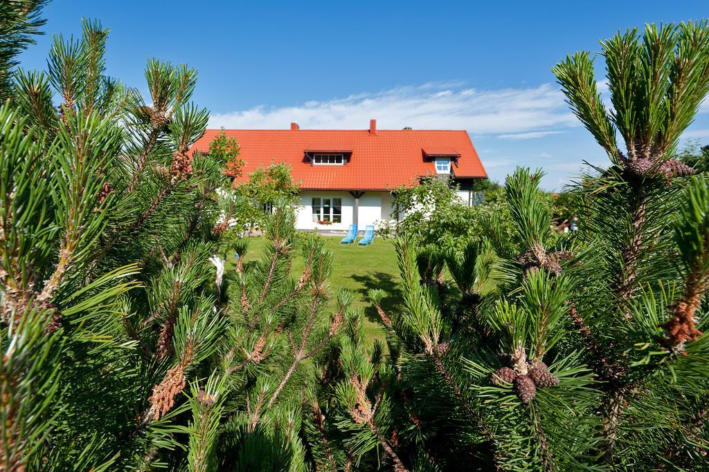 Karkles Villa - Prie Juros Kültér fotó
