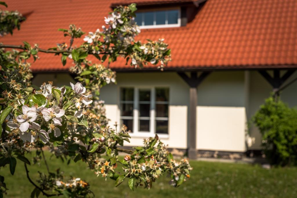Karkles Villa - Prie Juros Kültér fotó